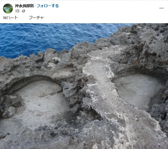 フーチャ Wハート、徳之島