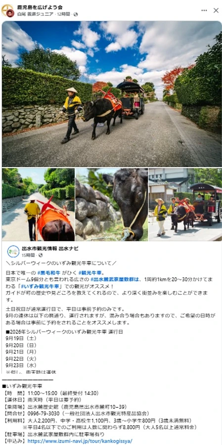 いずみ観光牛車乗車体験