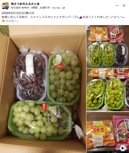 枕崎から果物