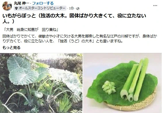20260910いもがらぼっと